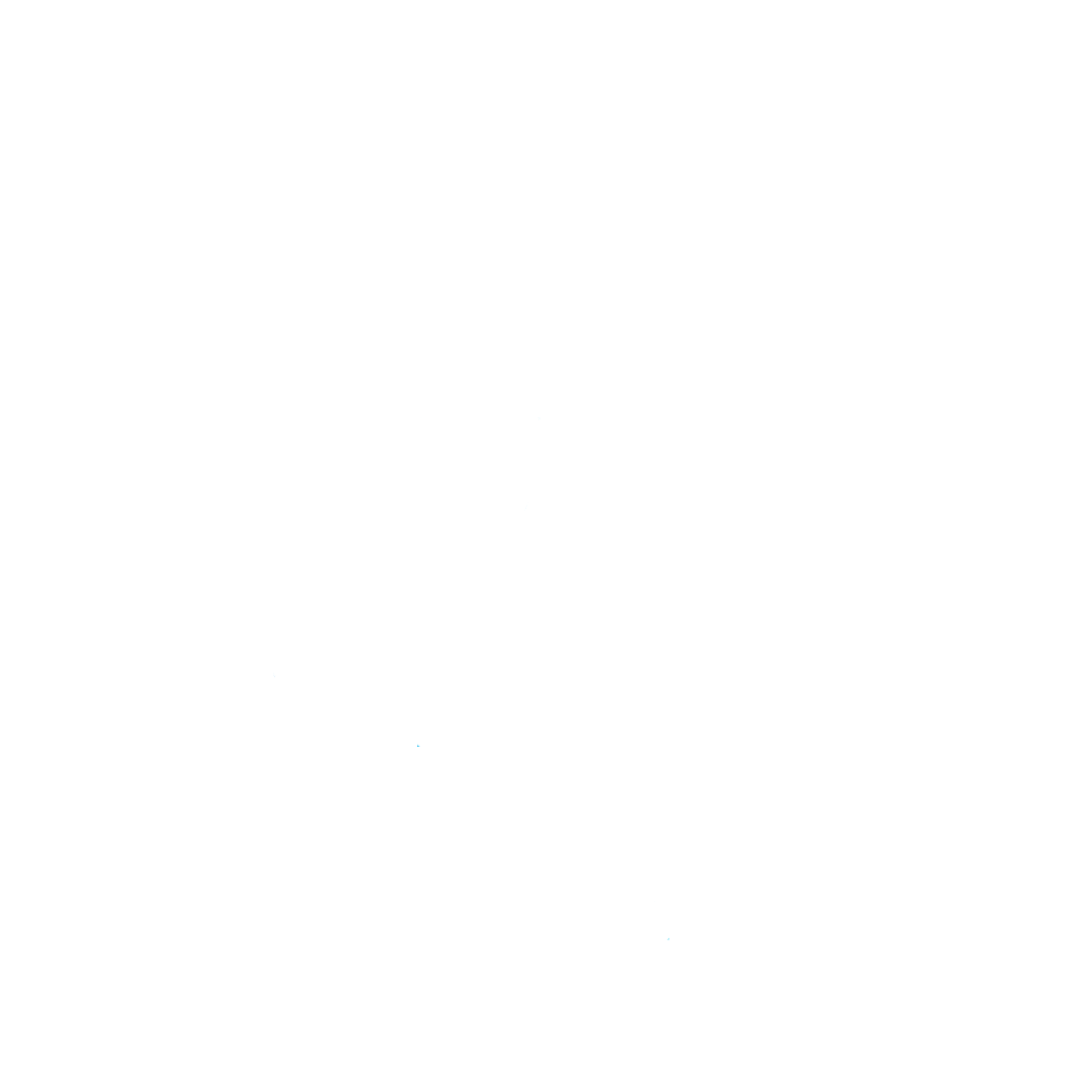 Topaz Barziv Logo